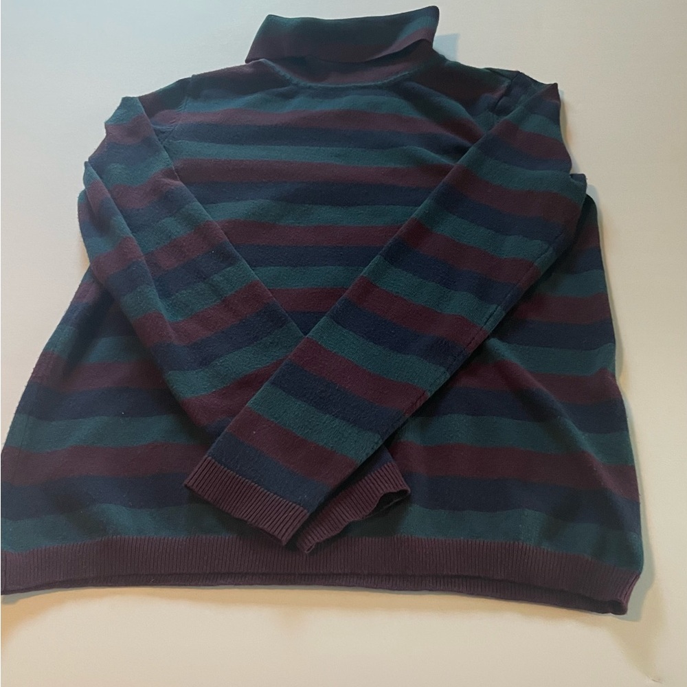 Men's Multicolor Striped Turtleneck Sweater
